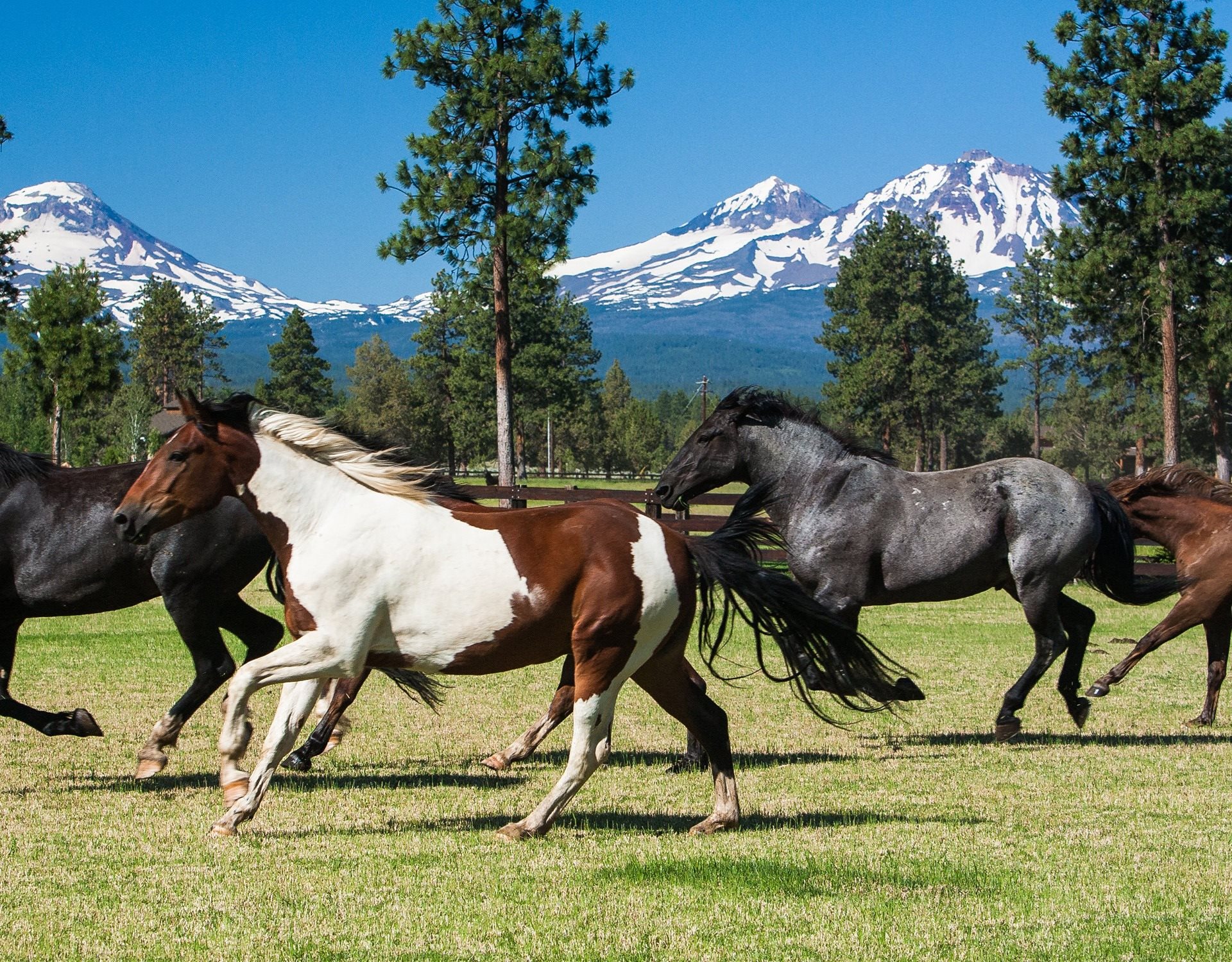The Springs Apartments in Sisters, OR